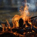 모닥불 이미지