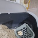 24시보듬동물병원 이미지