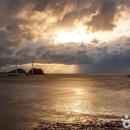 평화신선식품 이미지