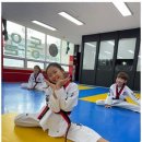 강인태권도 네이버블로그