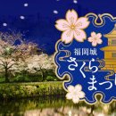 ♣저녁의 벚꽃구경/사꾸라 워킹♣후쿠오카의 사꾸라 축제!! 이미지