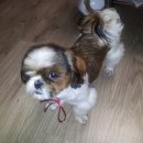 제일종합동물병원 이미지