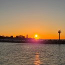 나드리김밥 정관점 | 1월 일기