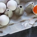 아이힐 동물병원 이미지