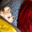 북한산 캠핑장 이미지