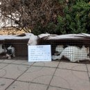 남산동물병원 이미지