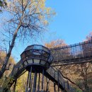 유아숲 | [숲놀이터] 광교중앙공원 유아숲체험원 방문 후기