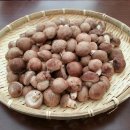 늘해랑농장 이미지