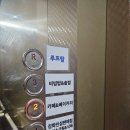 교동면-3 | 강화도 교동도 화개정원 모노레일 &amp; 스카이워크 전망대 솔직 방문 후기