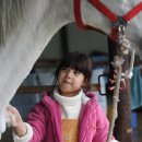 챔프이야기 이미지