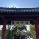 빙고 애견카페 | 안동여행 하회마을 먹거리 추천 안동 눈꽃빙수 맛집 - 탈빙고 재방문기