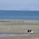 목섬칼국수 이미지