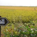 개정동사무소 이미지