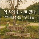 백두대간약초나라 | 🍁가을, 백두대간수목원 약용식물원에서 배운 약초 상식 7가지