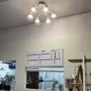 꽃다비펫 이미지