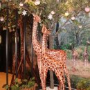 아름다운프라자 이미지