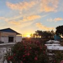 동백목장2 이미지