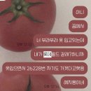 항공울진지점 | 그래서 어쩌라고 우리는 젊습니다.
