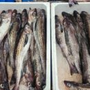 5일시장(어물전) 이미지