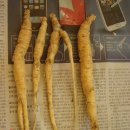 산약초와 산행 이미지