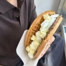 와플대학노량진캠퍼스