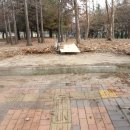 구민운동장(공중) 이미지