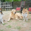 태담이네 하우스 이미지