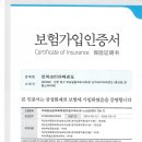 인하코리아 태권도 이미지