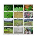 한새봉두레 이미지