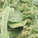 먹방농장 이미지