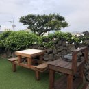 둘하루방 이미지