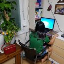 인포텍 컴퓨터 이미지