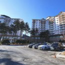 오투치킨 | 오투리조트 숙소 숙박 후기:체크인,객실,리프트권 비교까지