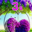 만인 Daum카페