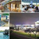 여명식당 이미지