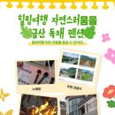 들꽃펜션민박 이미지