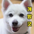 원스 맨투맨, 포켓 스탠딩 슬랙스 후기 이미지