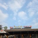 팔당초계국수 | 남양주 애견동반 맛집 찾는다면? 팔당초계국수본점 솔직 후기