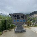 [공주 학림사] 템플스테이 후기이면서 일기