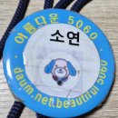 속초종로약국