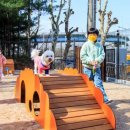 댕댕놀이터 이미지