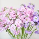 (주)영원 이미지