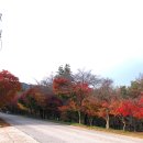 내장산조각공원 이미지