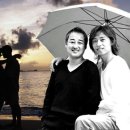 녹색지대 이미지