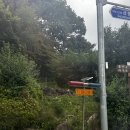 [가족여행] 리솜포레스트 g50 54평 빌라 6인실 숙소 후기 (체크인 꿀팁알려드림)
