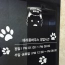 테리몽하우스 이미지