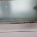 호산빌라 | 인천 미추홀구 관교동 호산빌라 1994년식 구축 입주청소 상세 후기