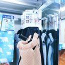 멋스럽개 | 다이소 강아지 쿨매트부터 강아지우비 찾아서 쇼핑하기