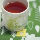 뉴욕매니아 이미지