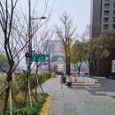 서울시내 트레킹 이미지
